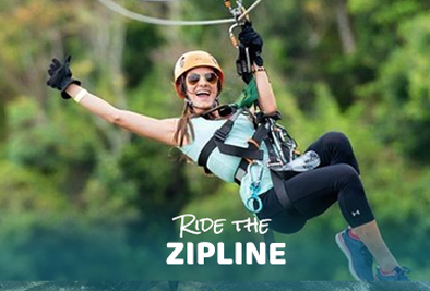 Zipline